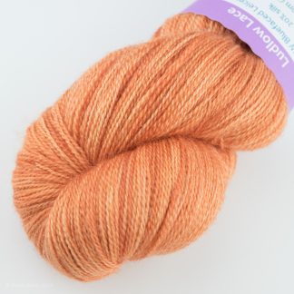 Spiced Orange - Ludlow Lace - BFL, silk - 800m per 100g